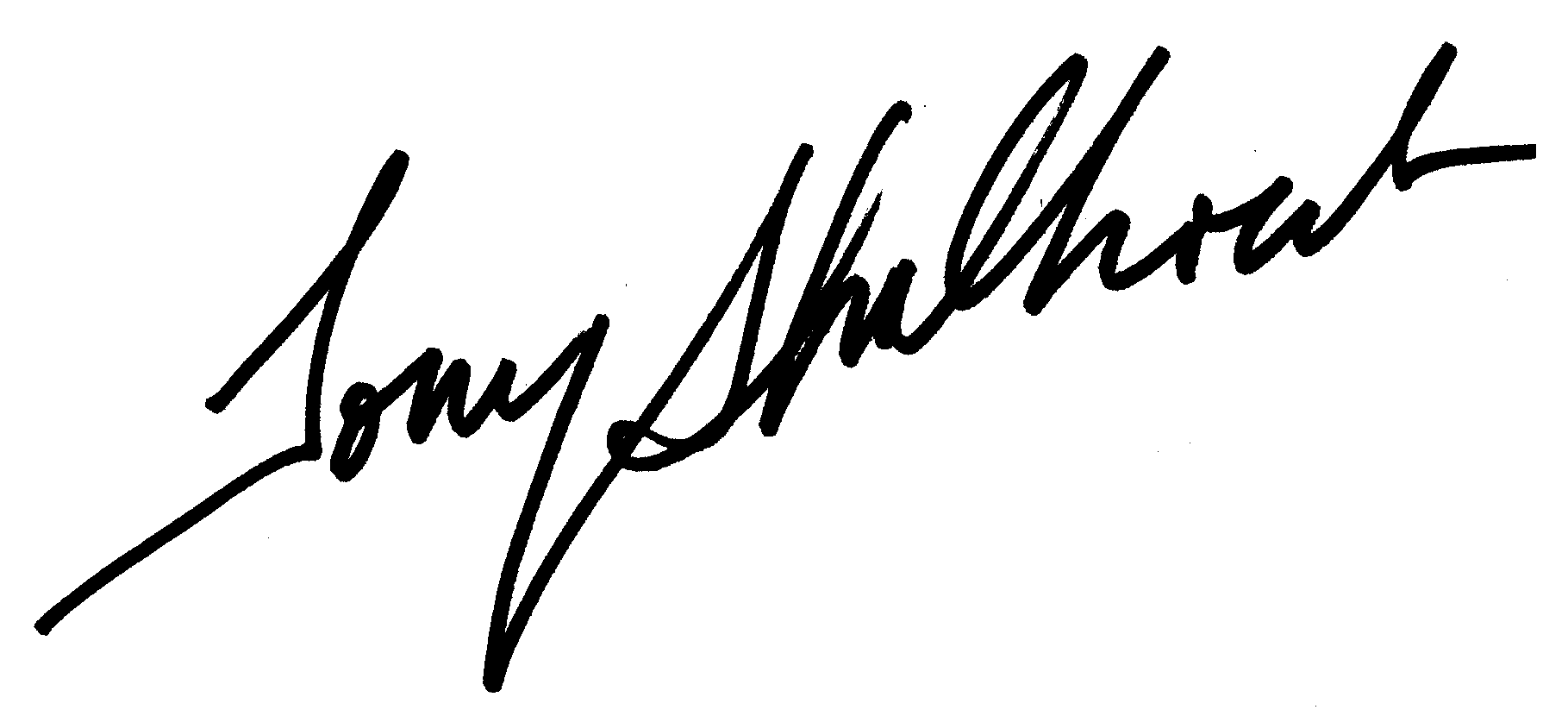 Tony Shalhoub autograph facsimile