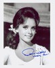 Dawn Wells