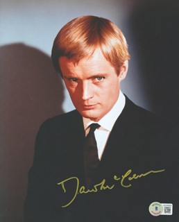 David McCallum autograph