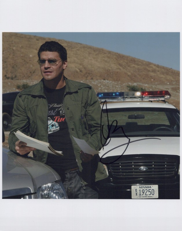 David Boreanaz autograph, item FP649253